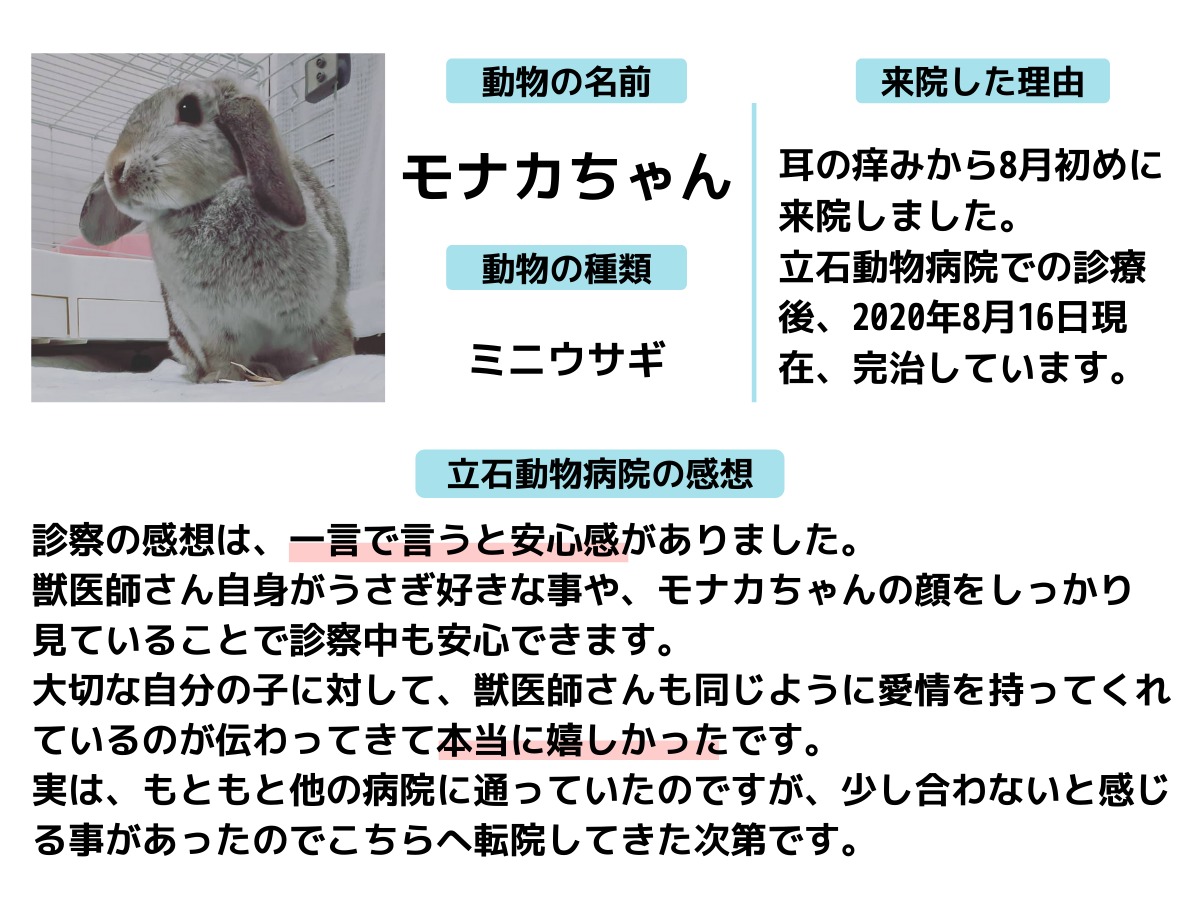 立石動物病院は葛飾区立石駅から徒歩3分の犬 猫 うさぎ フェレット ハムスター 鳥を診療する動物病院です