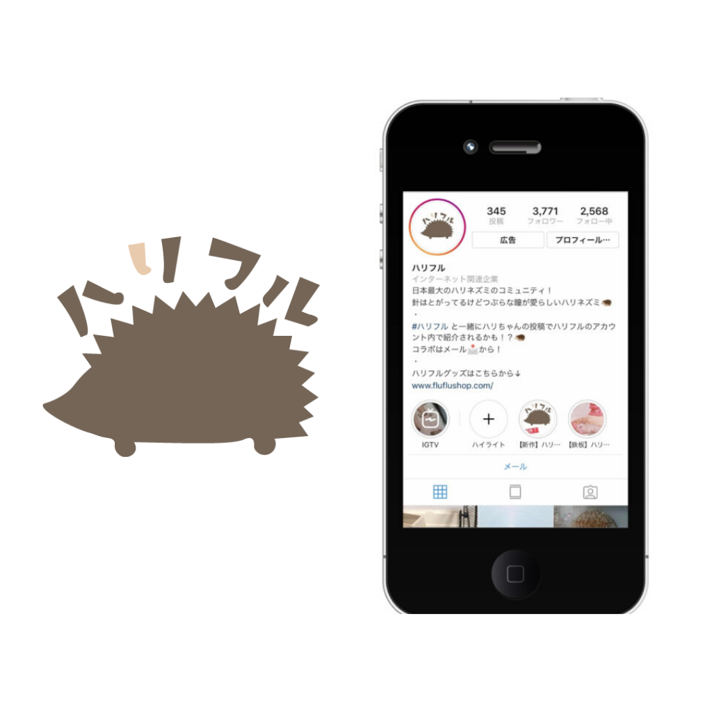 ハリフル